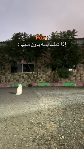 عرفتوها اللي كانت عند المسجد 😂 ؟ #fyp #الشعب_الصيني_ماله_حل😂😂 #foryou #fypシ #foryoupage #اكسبلور 