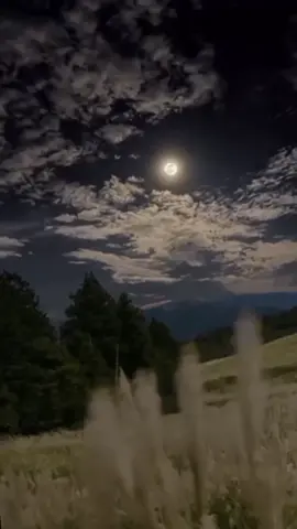 ##❤❤myanmar🇲🇲❤❤️  ရှူးခင်းလှလှလေး😊😊😊## for fired