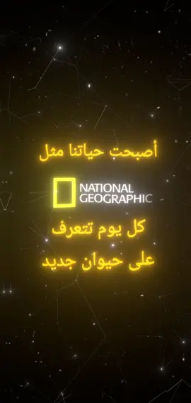 #تصميم_عبارات#عباراتكم_الفخمه📿📌 #تصميم_عبارات #عباراتكم_الفخمه📿📌 #عباراتكم_الفخمه📿📌 #تصميم_عبارات #عباراتكم_الفخمه📿📌 #تصميم_عبارات #عباراتكم_الفخمه📿📌 #عباراتكم_الفخمه📿📌 #تصميم_عبارات #عباراتكم_الفخمه📿📌 #تصميم_عبارات #تصميم_عبارات #عباراتكم_الفخمه📿📌 #تصميم_عبارات #عباراتكم_الفخمه📿📌 #تصميم_عبارات #عباراتكم_الفخمه📿📌 #تصميم_عبارات #عباراتكم_الفخمه📿📌 #تصميم_عبارات #عباراتكم_الفخمه📿📌 