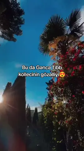 Bu ne güzellik😍🫠GTK#keşfet #keşfetteyizzz #tibbbacisi🚑👩‍⚕️💉💊 #tibb #gtk #fypシ゚ #doctor #keşfetedüş 