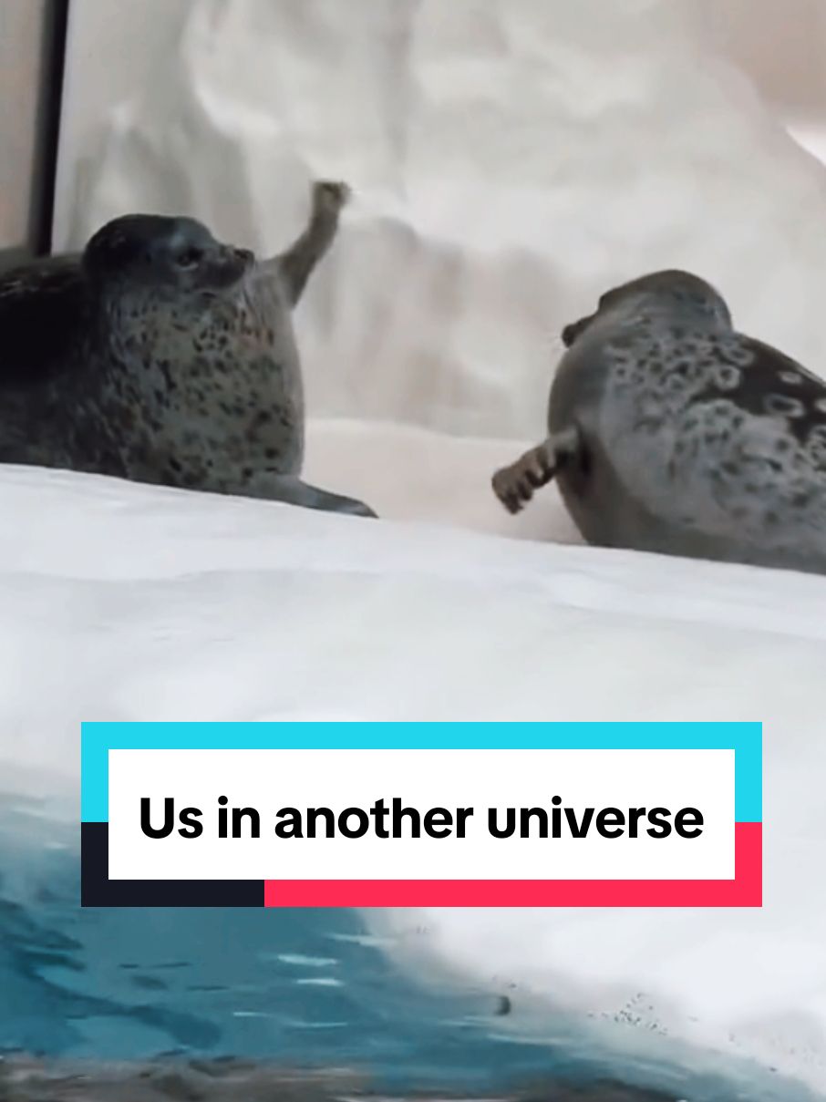 Us in another universe 💕 #usinanotheruniverse 