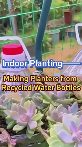 #garden #gardening #planting #planter #waterbottle #diyplanter #indoorgarden 