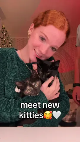meet our new kittens, mila and oliver🤗🩷 #fyp #fypage #fypシ゚viral #foryou #viral #foryoupage❤️❤️ #foryoupageofficiall #fyppppppppppppppppppppppp #kittens #kitty #kitten #kittensoftiktok #newcat #newkitten #9weeks #kitties #cats #cat #catsoftiktiok 