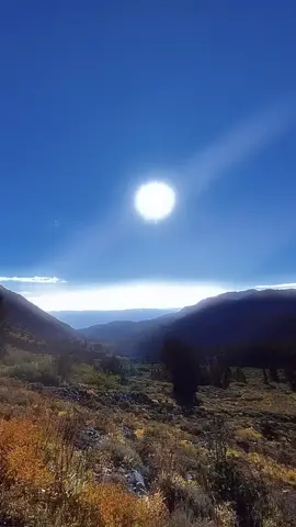 youre the director of your movie dont allow anyone to make you feel otherwise #creatorsearchinsights #motivation #bossup #boss #fy #foryou #motivational #fyp #growth 