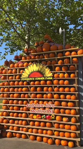 Johnson’s Corner Farm in Medford NJ is perfect for a fall day🍁🚜🌻 #fallaesthetic #fallvibes #pumpkinseason #dateideas 