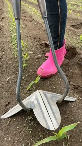 #satisfying #machines #in #action 