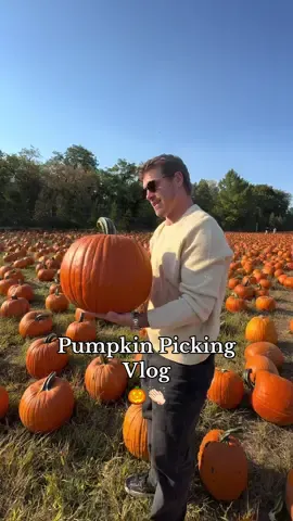 Stay tuned for our pumpkin carving content 🎃🎃🎃