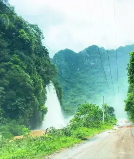 #nguoivanchuyenr #xuhuongtiktok 