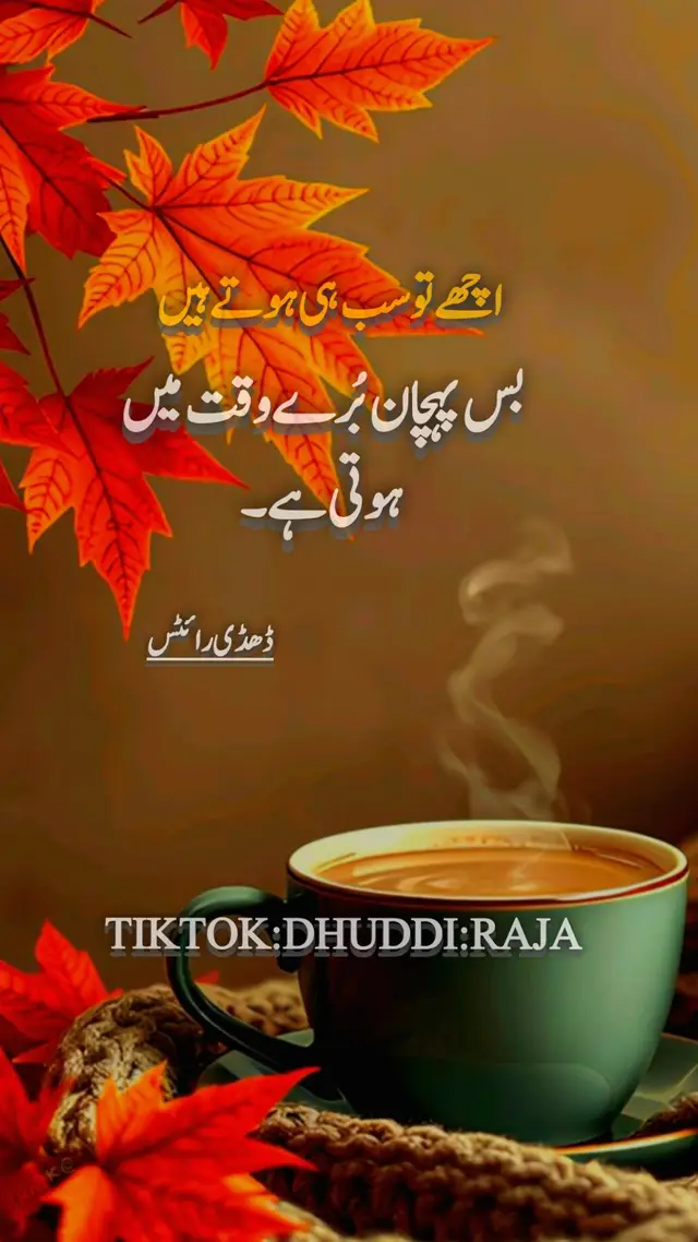 اچھے تو سب ہی ہوتے ہیں 💯♥️#zulfiqardhuddi1 #me #viewsproblem #illu #unfrezzmyaccount #poetry #urdupoetry #urdushayari #sadstory #viral #viralvideo #foryoupage #foryou #tiktok #tiktokofficial 