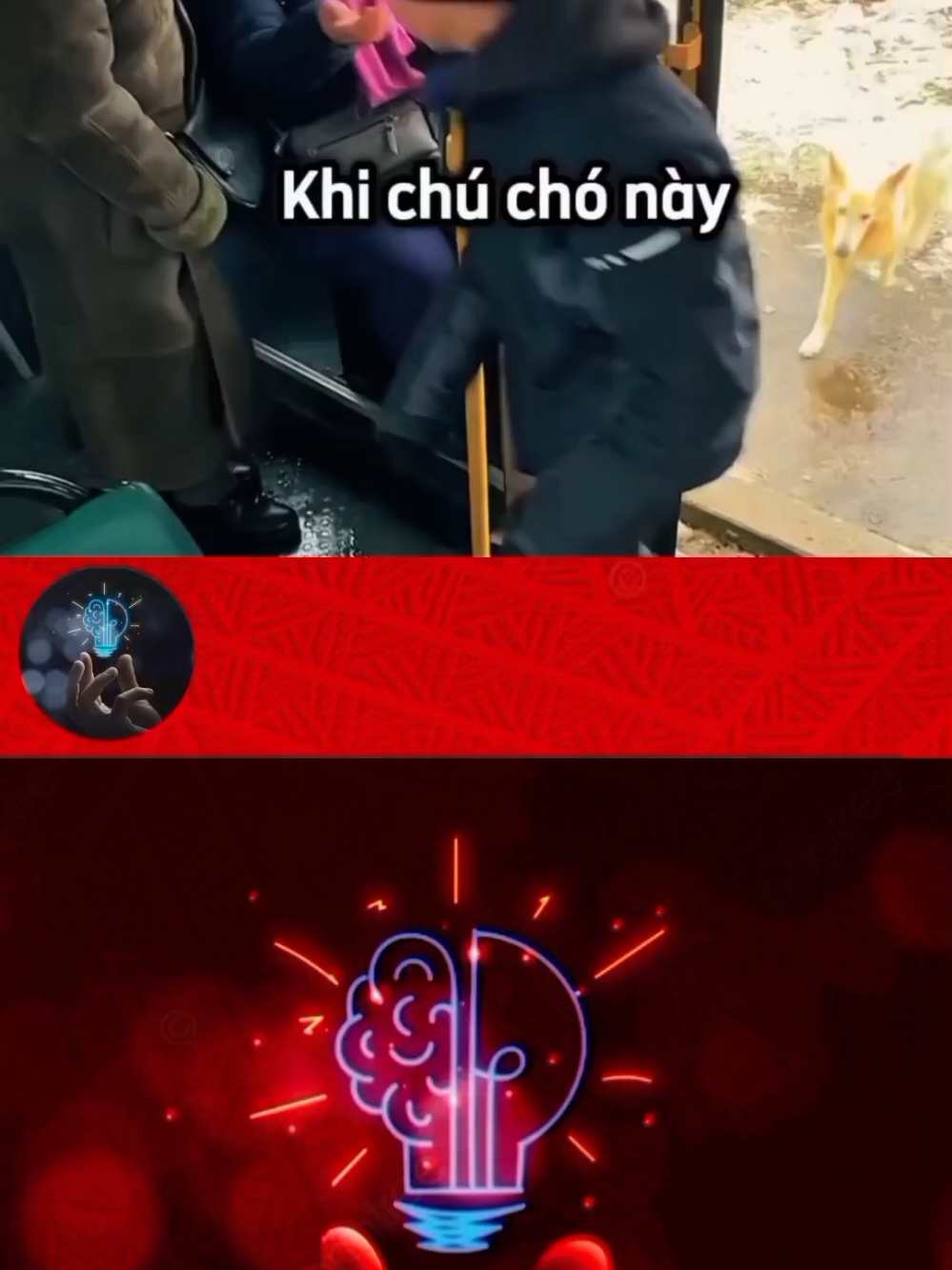 Người tài xế dạy cho những hầnh khách một bải học đắt giá #review #tiktok #xuhuong #dog 