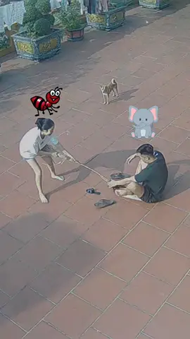 Vợ yếu quá.. chả lẽ đổi mái #chútưbn #TikTokGiaiTri #TikTokCommunity #vtmgr #chutu 
