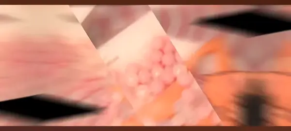 Io amo la mia LIBERTÁ! #nancycoppola #rosyrey #ft #feat #duetto #girl #girls #perte #neiperte #foryou #fyp #me #music #neomelodico #viral #tiktok #naples #german #french #like #follower #comment #duetti #challenge #duetto 