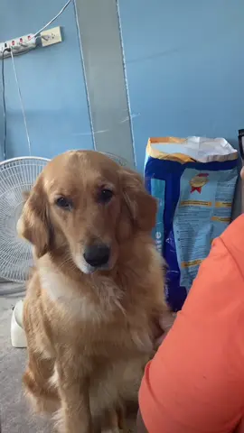 หมูกรอบจะมาสอนภาษาอีสานวันละคำ หย่าม แปลว่า ย่ามใส่ของ