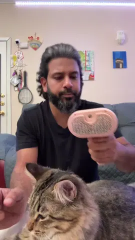 #pethairremoval #petbrush #catsoftiktok #catdaddy #falldealsforyou 