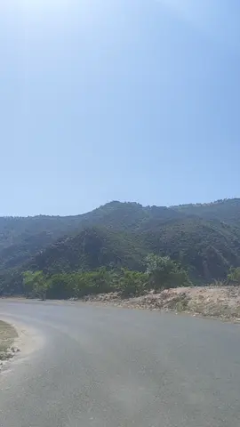 #علي_بن_محمد  عادنا رغبان في الغيضه #الفنان #علي_بن_محمد  #تصويري📷 #تصميم_فيديوهات🎶🎤🎬  #تصاميم #تصوير #فوتوغرافي  #محمد_عبده #فنان_العرب #الطرب_الاصيل #fyp #طربيات #الفن #viraltiktok #اغاني   #خريف_وصاب_العالي  #رخوت_الغربيه ..💔ء  #رخوت #المهره ..❤️ء #خريف_حوف #المهره  #صنعاء #السعودية #اليمن   #نايــــفABDULLAH  #تصويري #قوالب #قالب  #love_elmoharoh  #الشعب_الصيني_ماله_حل😂😂 