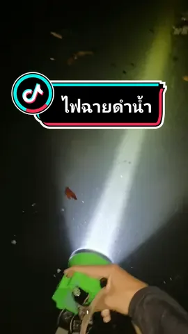 ไฟฉายกันน้ำราคาจับต้องได้​ ดำน้ำยิงปลา​ สายเดินป่าต้องจัดเลยค่ะ​ 🐟🐟🐟 #ไฟฉายพกพา #ไฟฉายดำน้ำ​#ไฟฉายคาดหัว #ไฟฉายled #นายหน้าtiktokshop #นายหน้าtiktok #หาอยู่หากิน 