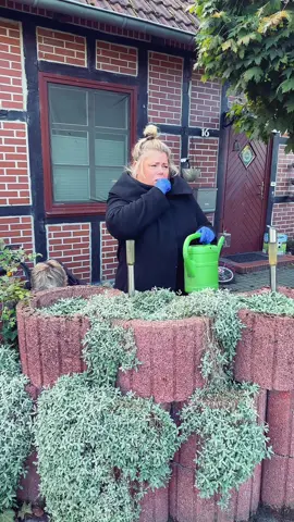 Hast du schon Garten arbeit fertig?#probierenmitkarina #maskiergang #probiersen 