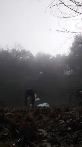 đi lụm lụm nguyên ngày dị đó + tăng ca thêm 1 tiếng nữa mà được tới 2🥔5 đó tr🤣