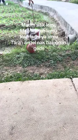 Iki konsepe pye 🙃#fyppppppppppppppppppppppp 