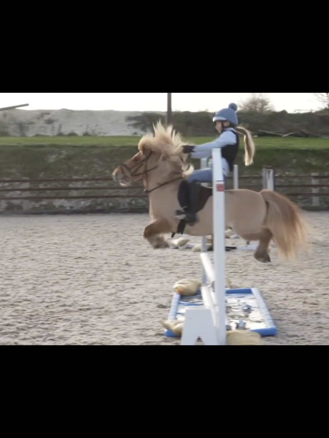 Harlows holidays 🤪🤪#CapCut #foryouu #fypppppppppppppp #fyp #ponies #equinefails #equestrianlife #equestrian #equine #fails #harlow #ponies #fyp #fypppppppppppppp #foryouu #CapCut #harlowlunawhite #capcut_edit #f #virallllllllllllll #harlowwhitesponies #sj #blowthisup #blowup #blowup? #popular #makemefamous #makemeviral #viralvideos 