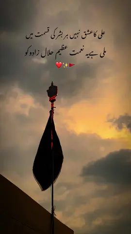 عشقِ  علی🫀✨#shiapoetry #foryou #fyp #viraltiktok #shia #yaalimadadع♥️ #alameabbas #aliwaly #viral #molaliع 