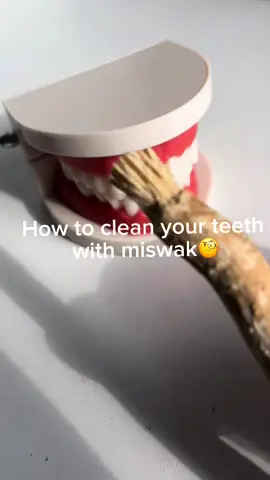 How to brush your teeth withe miswak?🧐 #miswak #miswaktoothbrush #viraltiktok #vi #video #islamic_video #islamic #viralvideos #fyp #fy #fyy #fpyシ #islamforyou #fürdich #islamictiktok 