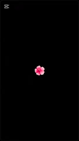 #fypシ゚viral #faryou #fypシ゚viral @😈PZB SIGMA😈 