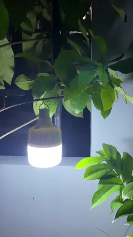 portable light bulb • rechargeable light • camping lamp • emergency light y'all 🪔✨#campinglamp #emergencylight #fypシ゚viral #foryou 