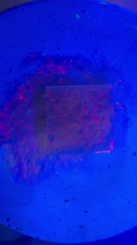 Glowing Powder 💣 #oddlysatisfying #gymchalk #asmr 