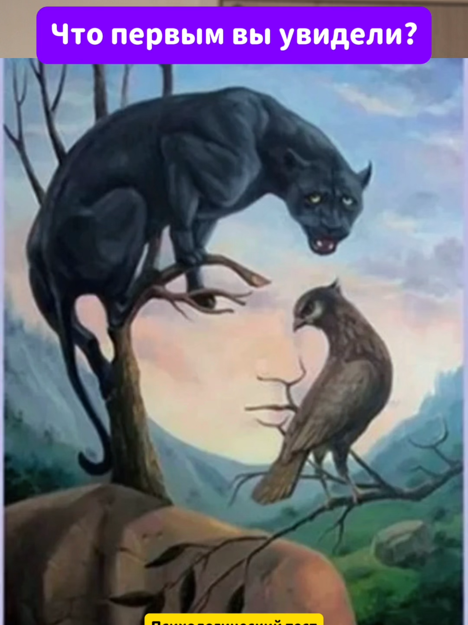 Что вы увидели первым?