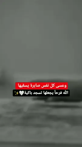 يارب 🤲😔💔 #اخر_اشي_نسختو💭🥀 #عباراتكم_الفخمه📿📌 #كلمات_زيــزو🖤 #ابداع_زهراء 