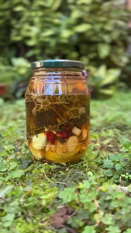 🔥 FIRE CIDER 🌿✨ 🔸Gli ingredienti che ho usato: limone, aglio, zenzero, citronella, curcuma, peperoncino, anice stellato, ginepro, timo, chiodi di garofano, salvia, pimento, origano, foglie di limone, menta e melissa, rosmarino, finocchietto selvatico, dragoncello, bacche di alchechengi e alloro. 🔸Altri ingredienti che si possono usare: Rosa canina, pepe, stecche di cannella, ibisco, ortica, pino mugo, pino silvestre, santoreggia, verbena, echinacea, vari tipi di peperoncino. Ovviamente non è necessario mettere tutti gli ingredienti citati, puoi fare la tua versione di fire cider. 🌿 Una volta trascorso almeno un mese, si può iniziare a consumare. Viene suggerito di prenderne un cucchiaio al giorno, da dolcificare a piacere se lo si desidera. Fire cider, oxymel, Four thieves vinegar e Honeygar sono tutte varianti di una tintura a base di aceto usata da oltre 2500 anni, di cui esistono numerose versioni e sono diverse anche le storie sulle loro origini. L’aceto dei 4 ladroni (tradotto letteralmente) si chiama così perché la leggenda narra che una banda di ladri tombaroli di Marsiglia sopravvisse alla peste bubbonica nel XV secolo utilizzando proprio una tintura di erbe infuse in aceto. Ne hai già sentito parlare?  Lo proverai? 🧚🏻‍♂️  Salva il reel per provarlo 🔥🌿🌼✨ #firecider #rimedi #acetodimele #erbe #erbeselvatiche #radici #erbespontanee #erbeofficinali #sistemaimmunitario #rimedinaturali #sistemaimmunitario  