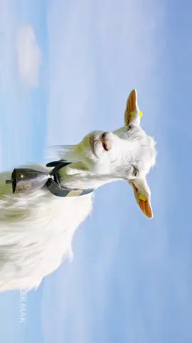 Switzerland 120fps #nature #aesthetics 