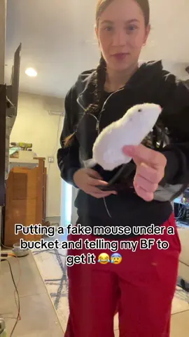 it started attcking him at the end 😂😆 #trend #couplegoals #couple #fyp #foryou #bfprank #trending #couples #harmlessprank #couplecomedy #foryoupage #couplepranks #pranks #viral #coupletrend #coupleprank #prank 