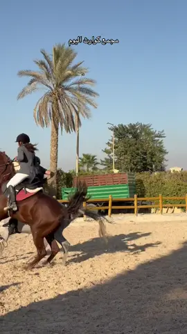 اديني في ال suspense #ridewithmalakacademy #ridewithmalak #fyp #خيل_وخياله🐎 #malakmoghazy #reinthehorse #horses #خيل #kheil #الخيل #الاهرمات #horse #horsegirl 