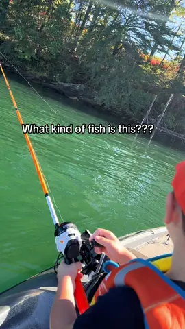 What a fish! #fishinglife #fishing #portablespeaker #portablespeakers #bluetoothspeaker #waterproofspeaker 