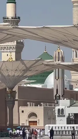 Hotel Visit Bir Al Emaan Madina markazi Part 1... Whatsapp Contact +966 54 953 9569... Madina hotel's booking available... #HafizUsman #madina #sudiarabia #tiktok #account #fby #viraltiktok #viral #viralvideo #viraltiktok #tiktotpakistan #allahuakbar #alhumdulillah #imrankhan #follow #following #followers #follwerme #followformorevideo #capcut #TikTokPromote 