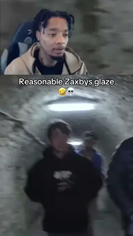 #flightreacts #fyp #foryoupage #fypツ #zaxbys 