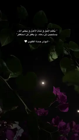 الوتر جنة القلوب