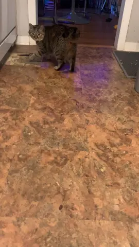 Air too spicy for Pam 