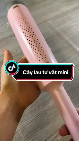 Cây lau tự vắt mini thay thế các loại khăn lau trong nhà #caylaunhatuvat 