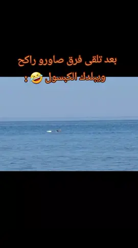 بعد يبلدك الكبسول وقدامك فرق سمح 🤣 . #حوت #غطس_حر #جلاطينه #المرج #ليبيا #طليمثه #viral_video #vairal 