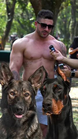 Se fosse você, qual teria escolhido? #caes #cachorro 