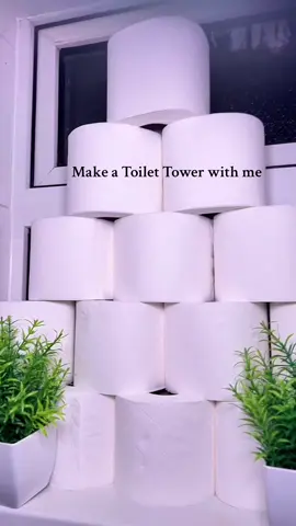Good quality only 🥰🥰  @Splesh  #toiletroll #toiletpaper #tissuepaper #splesh #toiletessentials #homeessentials #tiktokmademebuyit #foryou #bargain #dealdrops 