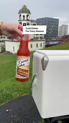 Pull up an extra seat at the Thanksgiving table for these drinks 🧸🎀🏈 #candytok #applepie #pumpkinpie #carrotcake #soda 