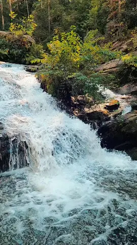 Nature Vibes in Georgia - Phanter Creek Trail - Clarkesville  #waterfall #waterfalls #nature #naturevibes #naturelove #naturelover #naturelovers #calming #positivevibe #peaceful #goodvibes #longwaydown #forest #forestvibes #photography #beauty #fyp #takeawalk #explore #trail #Hiking #hike #Outdoors #trails #lovetrails #positivevibes #natureisbeautiful #meditation #aestheticnature #timepass #lostworld #meditate #trailspinexplorer 