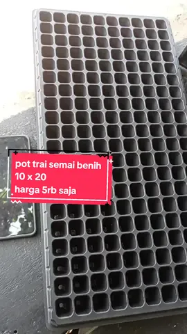 pot trai semai benih HANYA 5RIBU #pottrai #semaibenih #semaibenihhidroponik #semaibenihcabai #petani #petanimuda 