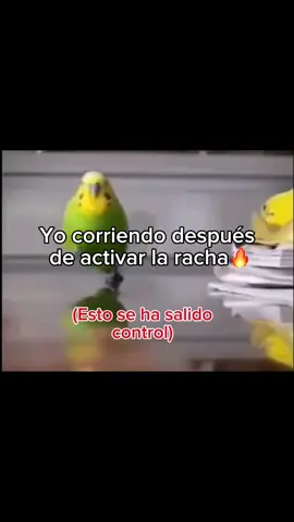 #humor #viral #racha #🔥 #🔥🔥🔥 