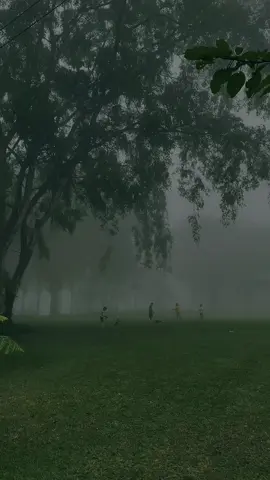Membalas @sandjishort vibes emang se menenangkan itu 🍃 ❄️ #kabut #goalawapurbalingga #purbalingga #purbalinggaperwira #purbalingga24jam #nature #HealingJourney #explore #explorejateng #holiday 