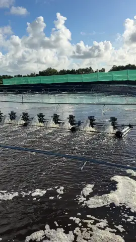 38ngày 120c màu lớn qa tiếc hok về đích được😂